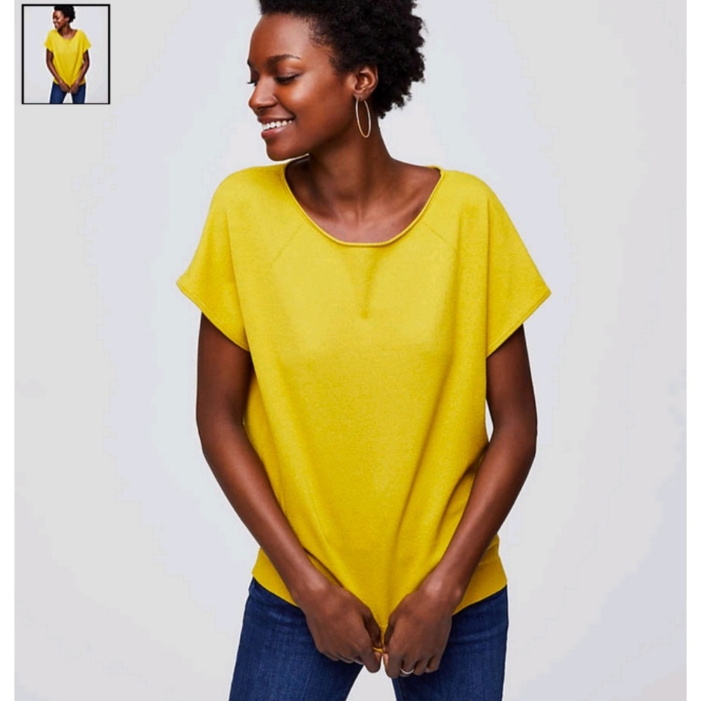 HOST PICK 🎉 NWT LOFT Petite Dolman Sleeve Sweater